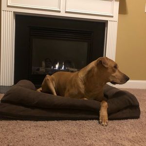 Alphalete and Buffbunny trade @desefano1